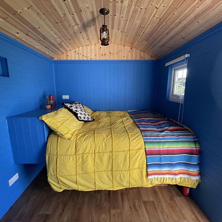 Shepherds Hut - Brecon Beacons Llangadog ภายนอก รูปภาพ